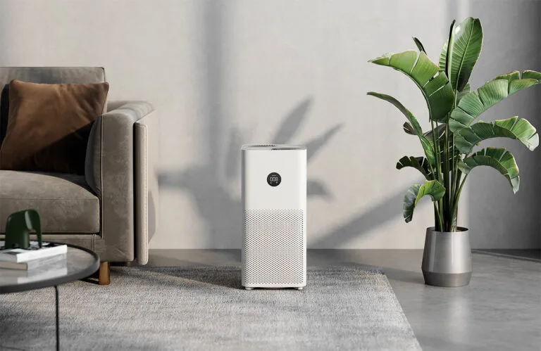 What Are The Best Air Purifiers For The Office?