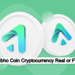 Is Kibho Coin Cryptocurrency Real or Fake? Complete Guide