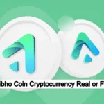 Is Kibho Coin Cryptocurrency Real or Fake